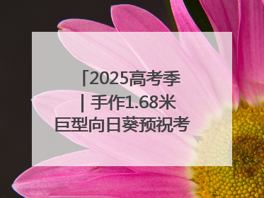 2025高考季｜手作1.68米巨型向日葵预祝考生“一举夺魁”