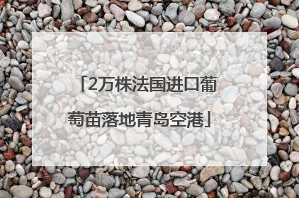 2万株法国进口葡萄苗落地青岛空港