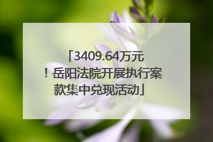 3409.64万元！岳阳法院开展执行案款集中兑现活动