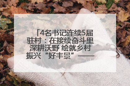 4名书记连续5届驻村：在接续奋斗里深耕沃野 绘就乡村振兴“好丰景”——浦发银行南京分行助力脱贫攻坚、帮促乡村振兴记事（二）