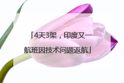 4天3架，印度又一航班因技术问题返航