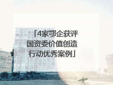 4家鄂企获评国资委价值创造行动优秀案例