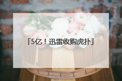 5亿！迅雷收购虎扑
