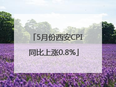5月份西安CPI同比上涨0.8%