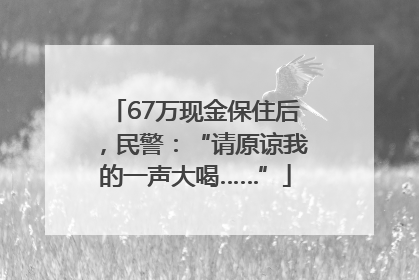 67万现金保住后，民警：“请原谅我的一声大喝……”