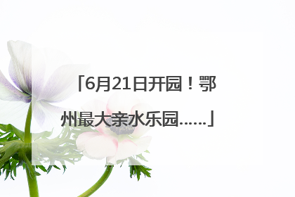 6月21日开园！鄂州最大亲水乐园……