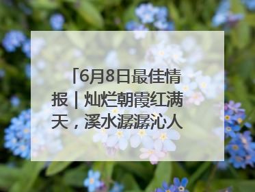 6月8日最佳情报｜灿烂朝霞红满天，溪水潺潺沁人心！恭喜获奖