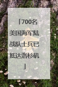 700名美国海军陆战队士兵已抵达洛杉矶