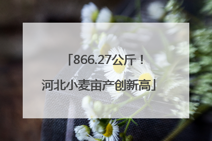 866.27公斤！河北小麦亩产创新高