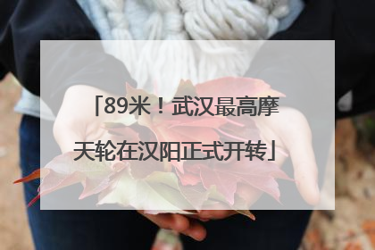 89米！武汉最高摩天轮在汉阳正式开转