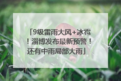 9级雷雨大风+冰雹！淄博发布最新预警！还有中雨局部大雨