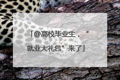 @高校毕业生，“就业大礼包”来了