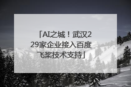 AI之城！武汉229家企业接入百度飞桨技术支持