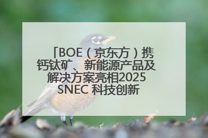 BOE（京东方）携钙钛矿、新能源产品及解决方案亮相2025 SNEC 科技创新赋能行业绿色发展