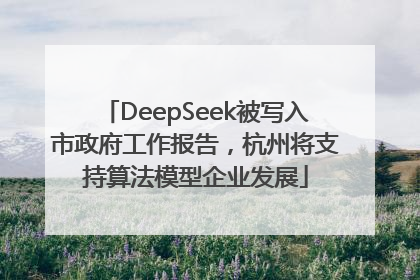 DeepSeek被写入市政府工作报告，杭州将支持算法模型企业发展