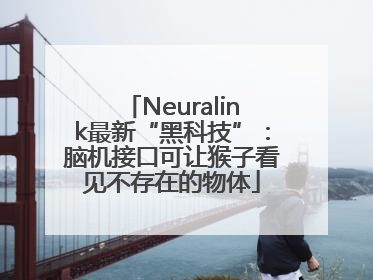 Neuralink最新“黑科技”：脑机接口可让猴子看见不存在的物体