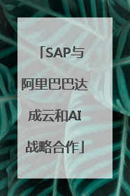 SAP与阿里巴巴达成云和AI战略合作